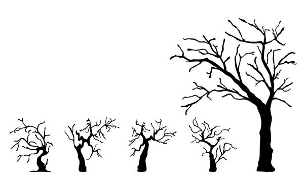 Set of bare trees silhouettes. Hand drawn halloween trees.