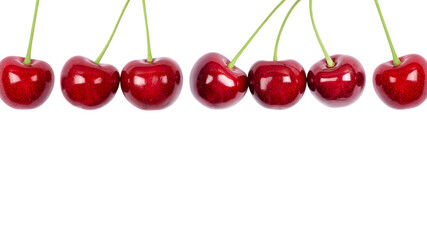 Ripe red sweet cherry isolated on white background. Macro photo close up. Long cherries Banner with copy space
