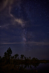 Naklejka premium All