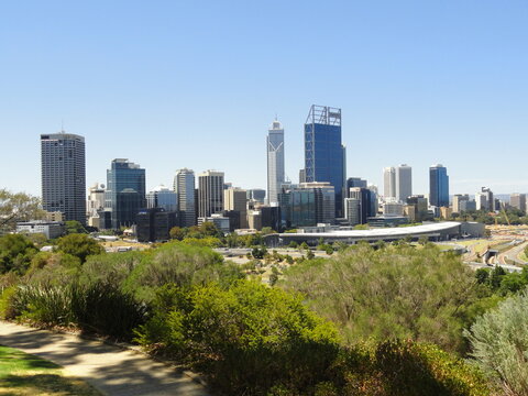 Skyline of a metropolitan area against a clear blue sky. Skyscrapers and office buildings. Park with green vegetation in the foreground. View of Perth from Kings Park, Western Australia.