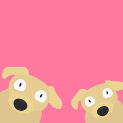 couple of dogs on pink background
