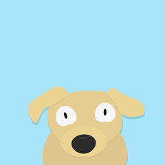 yellow dog on light blue background