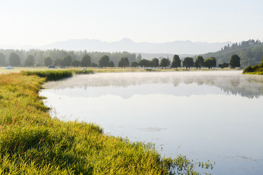 Sikes Lake near Carnation in the Snoqualmie Valley has a light coating of mist on a summer morning as the landscape subtly reflects in the calm water