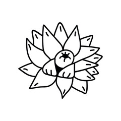 Single hand drawn flower. Doodle vector illustration. Isolate on a white background.