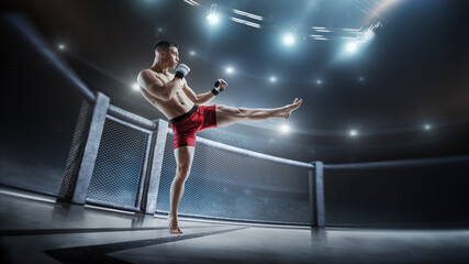 Fototapeta na wymiar MMA kick. Sport concept. MMA fighter in the octagon. Athlete. Side view. 3D