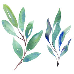 Watercolor illustration of leaf branches