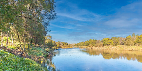 Winter river landscape