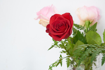 Beautiful bouquet of red and pink roses with romantic concept ideal for designing a gift card for valentine's day or to celebrate love.