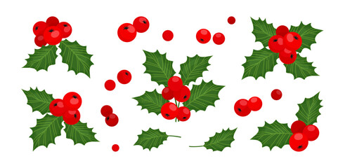 Holly berry christmas vector icons, season decoration, winter plant fruits. Holiday illustration