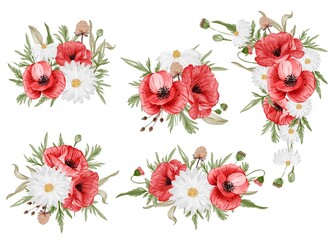watercolor set of flower arrangement with red poppy flower