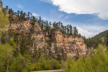 Black Hills National Forest, SD, USA - May 31, 2008: Wider view of beige-brown cliff set in forest with trees on top under blue cloudscape, 
