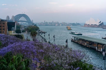Poster Jacaranda trees in full bloom over the city harbour Sydney harbour bridge © Em Neems Photography