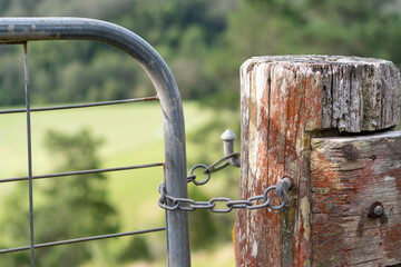 lock and chain on old rusty gate on a farm