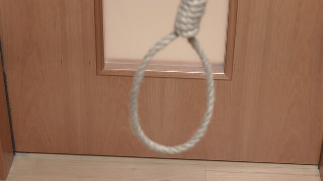 Curious dachshund puppy look at noose with rope hangs from top to bottom in apartment, top view though the loop. The problem of suicide. Punishment of criminals by hanging.