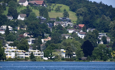lucerne