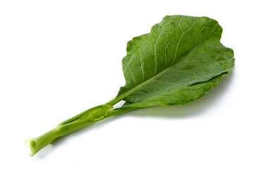 fresh Chinese kale vegetable on white background