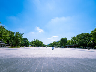 上野恩賜公園 竹の台広場