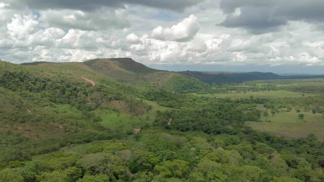 Cerrado Brasileiro