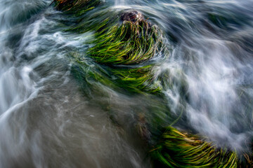water flowing over seagrass