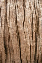 Old dark textured wooden background,Old Woods texture background.Abstract Wood texture background and bark tree.