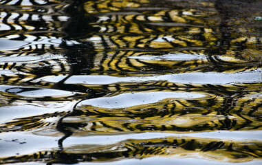 eau...formes et lumières