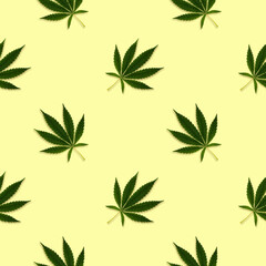 Hemp or cannabis leaves seamless pattern on a bright background.