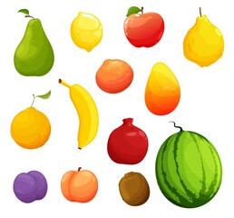 Cartoon ripe fruits, organic farm fresh harvest. Vector raw pear, lemon and apple, ripe quince, orange and mango, grapefruit, banana and garnet, plume, peach or nectarine, kiwi, watermelon