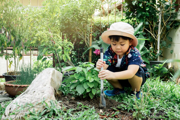 Asian boy dig shoveling in vegetable garden plot.