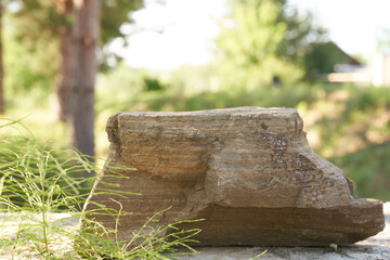 Fototapeta premium Stone on the background of green plants, the perfect podium for your product, natural background with textured pedestal. High quality photo