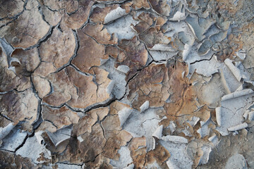 Texture of rift cracks of dry topsoil.