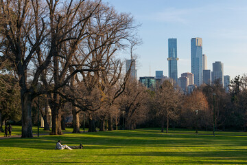 Fototapeta premium Melbourne from Fitzroy Gardens