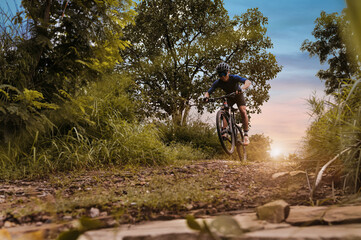 Mountain biking, Cyclist speeding downhill on MTB track in forest with mountain bike, Outdoor sport...