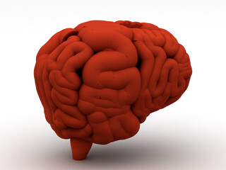 Human Brain isolated, 3d rendering
