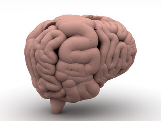 Human Brain isolated, 3d rendering
