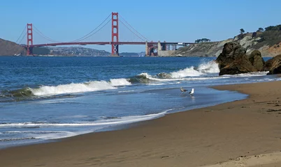 Photo sur Plexiglas Plage de Baker, San Francisco Birds on Golden Gate, San Francisco, California