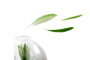 An empty transparent bottle and lavender leaves are flying out of it. The background is isolated.