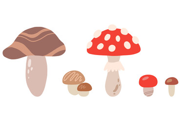 Set of cartoon different mushrooms. Simple flat illustration of fungus. Boletus mushrooms, porcini mushrooms and fly agarics. Vector natural object isolated from the background.