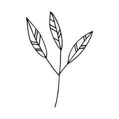 abstract leaves icon. hand drawn doodle. vector, scandinavian, nordic, minimalism, monochrome. plant, herbarium.