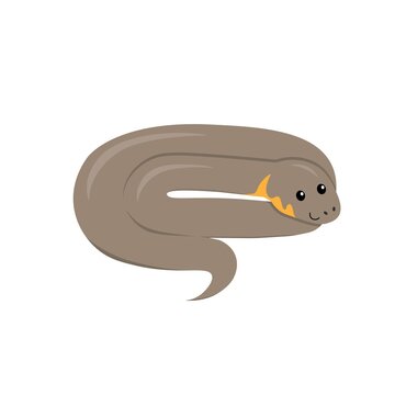 grey cartoon grass snake (Natrix natrix) , flat color vector ilustration isolated on white background for children