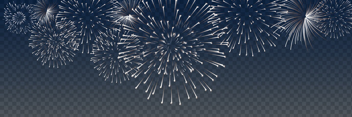 Vector Brightly Colorful Fireworks on the background of the night sky.