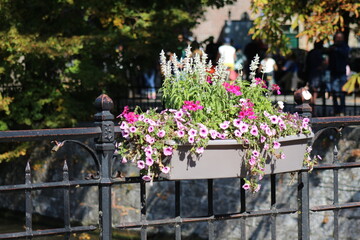 cemetery