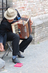 person playing the accordion - obrazy, fototapety, plakaty
