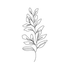 Leaves Branch Line Art Drawing. Floral Minimalist Contour Drawing. One Line llustration. Simple Plant Black Sketch Isolated on White Background. Vector EPS 10