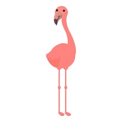 Zoo flamingo icon cartoon vector. Tropical bird. Summer flamingo