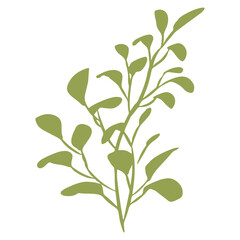 Vector illustration of a green branch with foliage. Silhouette. Design for fabric, printing, wallpaper, packaging, posters, medicine, beauty, postcards.