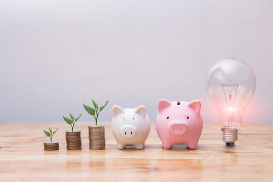 Light bulb Energy saving and pig piggy bank a coin glass on the floor white background