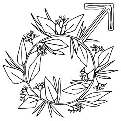 Vector illustration of a male sign with plants and berries. Contour illustration. Gender symbol. Hand-drawn.