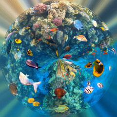 Underwater Colorful Tropical Fishes. - obrazy, fototapety, plakaty