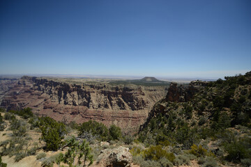 Fototapeta na wymiar Wide angle view of the Grand Canyon from the south rim on a clear day with blue skies
