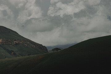 A lone tree over a a hill in the mountains with clouds rolling in the background